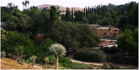 DoubleTreeBerk's tweet photo. Be Mesmerized During the 9th National Public Gardens Day in the Bay Area - https://t.co/BetHP0NeJH

#BerkeleyEvent #NationalPublicGardensDay https://t.co/LSTMU69FF5