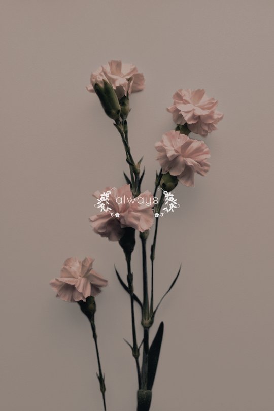 「𝓝𝓸𝓸𝓻𝓪 𝓐𝓶𝓪𝓵𝓲𝒆 𝓢𝓪𝒆𝓽𝓻𝒆」❝ʙᴇ ᴋɪɴᴅ. ᴀʟᴡᴀʏs.❞ —𝒫𝑒𝑜𝓅𝓁𝑒 𝓃𝑒𝑒𝒹 𝓅𝑒𝑜𝓅𝓁𝑒. «youtube.com/watch?v=XFD4l8…» •#Skamily• •#Skam #RP• ¿RT? Jeg ville sette pris på.