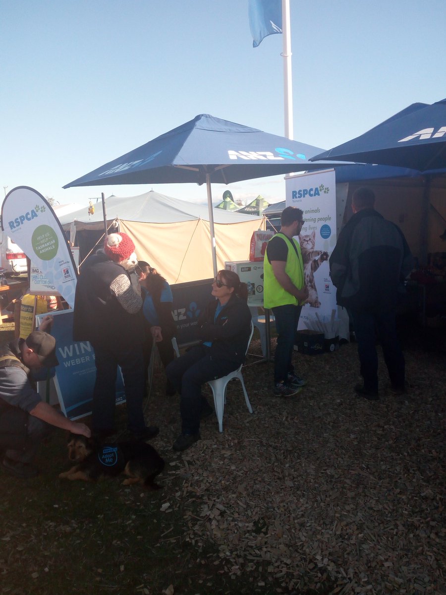 cjmurdoch11's tweet photo. No one enjoyed Day 1 @Agfest_Tas  more than furry best friends Frankie and Rover - on the hunt for tummy scratches &amp;  their fur-ever home! https://t.co/y1SW1kePYB