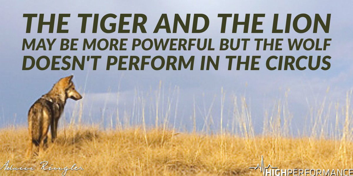 AdamRingler's tweet photo. "The tiger and the lion
may be more powerful but the wolf doesn't perform in the circus" #Overcome #AllObstacles https://t.co/T3Dk1TgKoV