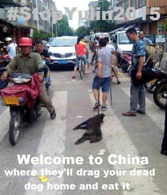 No2Speciesism1's tweet photo. @Yazooo9 @marilynbest69 @_DigOutYourSoul @Lionheart0075 @greennomad61 @sandbunnys @giselle1900 https://t.co/kdoB4hH4I5
