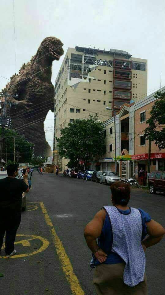 Formato7oficial's tweet photo. #MemeF7 No fue el aire, fue Godzilla
#Formato7 #Veracruz #TorrePediatrica https://t.co/JPsZvvE6BN https://t.co/gztbMuePNJ