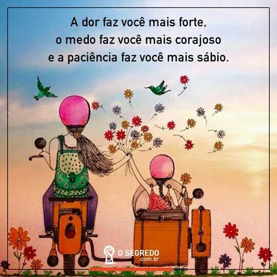 Zélia Lustosa (@lustosazelia) on Twitter photo 