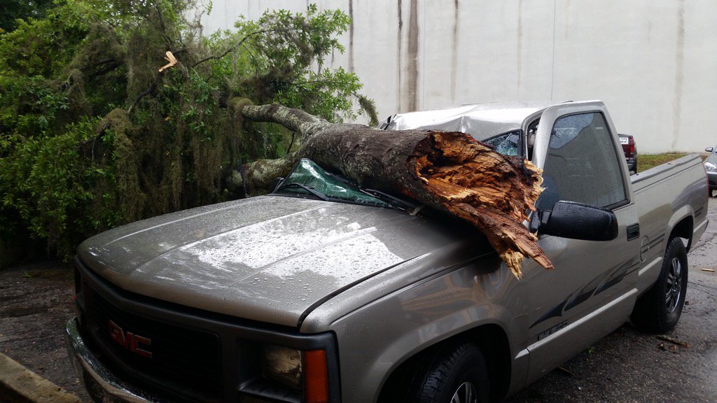 StormPins's tweet photo. Coworkers truck damaged by down tree in #jacksonville https://t.co/3YrH3uIvwe