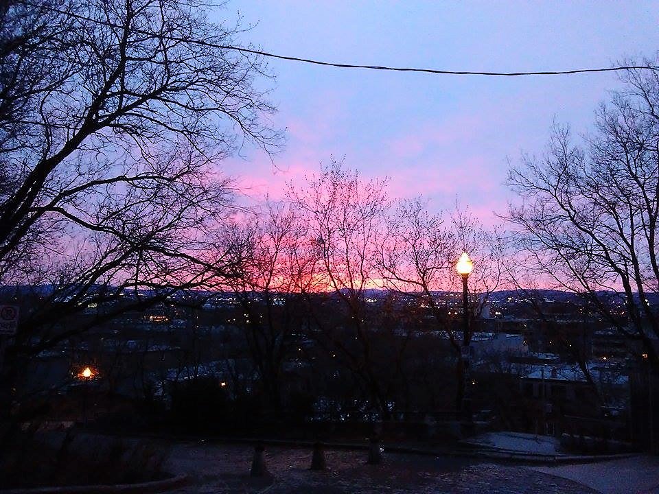 Explore Our Land tweet media