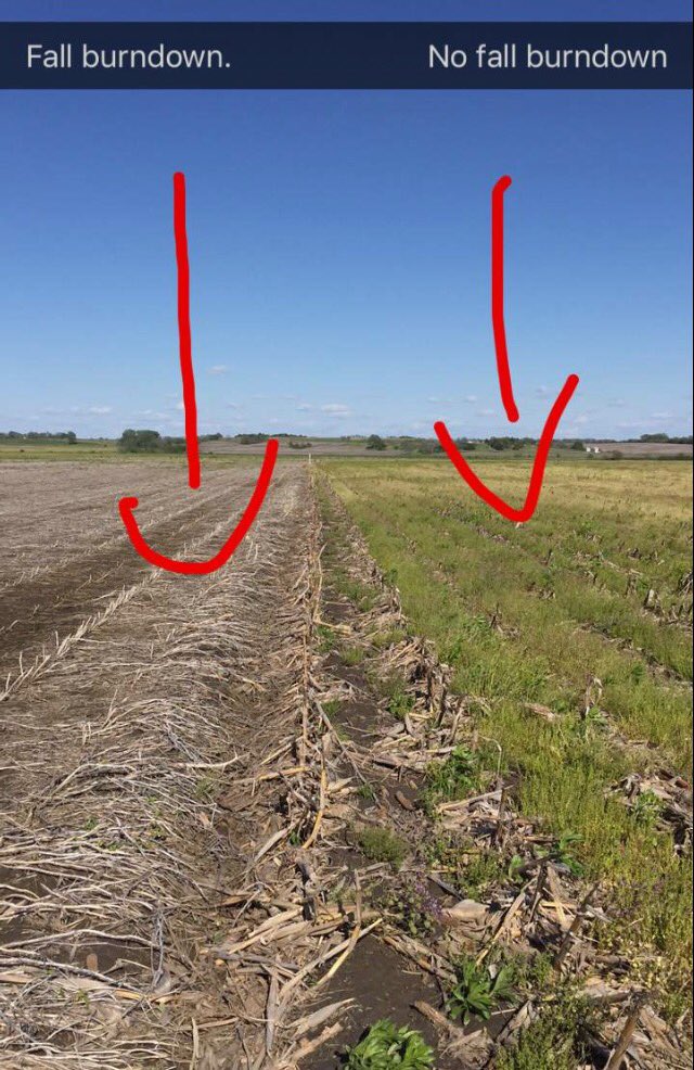 Dennis Vollrath tweet media