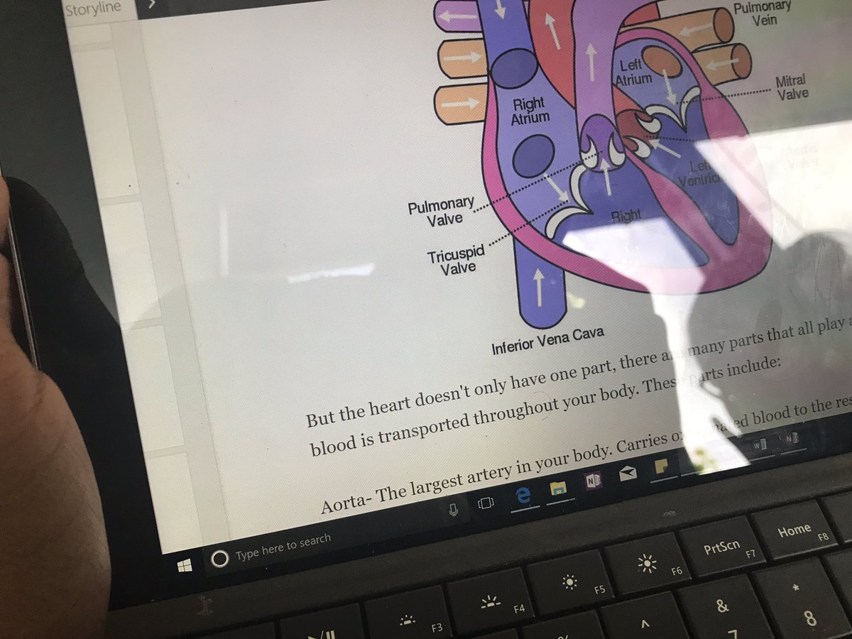 MiaRB206's tweet photo. Mentoring @rentonprep 3rd graders with analogies about the Heart using MineCraft Education! #msftedu @PlayCraftLearn @sway ❤️💉 https://t.co/iuxoXbdcEA
