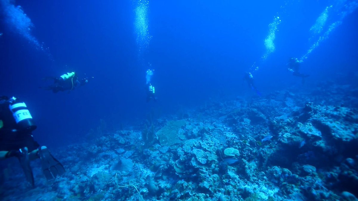 SAMSoceannews's tweet photo. Andy Mogg in Chagos | Reef bleaching all too clear
https://t.co/dFXLLmioGJ #climatechange #reefbleaching https://t.co/HF6N6lghcG