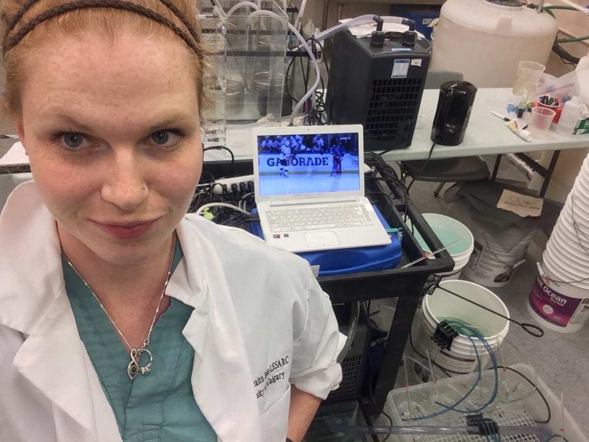 DrSaraSmith's tweet image. When #fishsci has to be done, but your boys are in round 2 @NYRangers #conferenceprep #blueshirts #LGR #BecauseItsTheCup