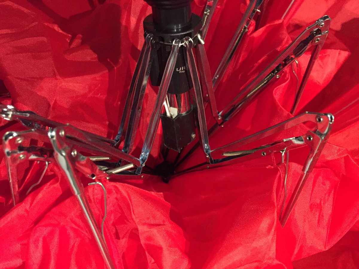 20 minutes with my brand new <a href="/ShedRain1947/">ShedRain</a> umbrella and it's already ruined