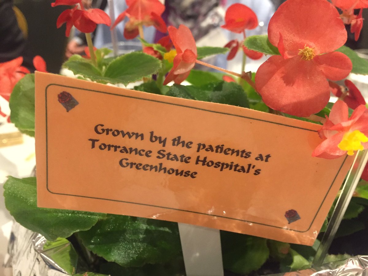 GPNPpgh's tweet photo. Beautiful, meaningful centerpieces for this great event, hosed by @MHAWestCo #mentalhealth #innocations #socialgood https://t.co/em4NZxIRmX