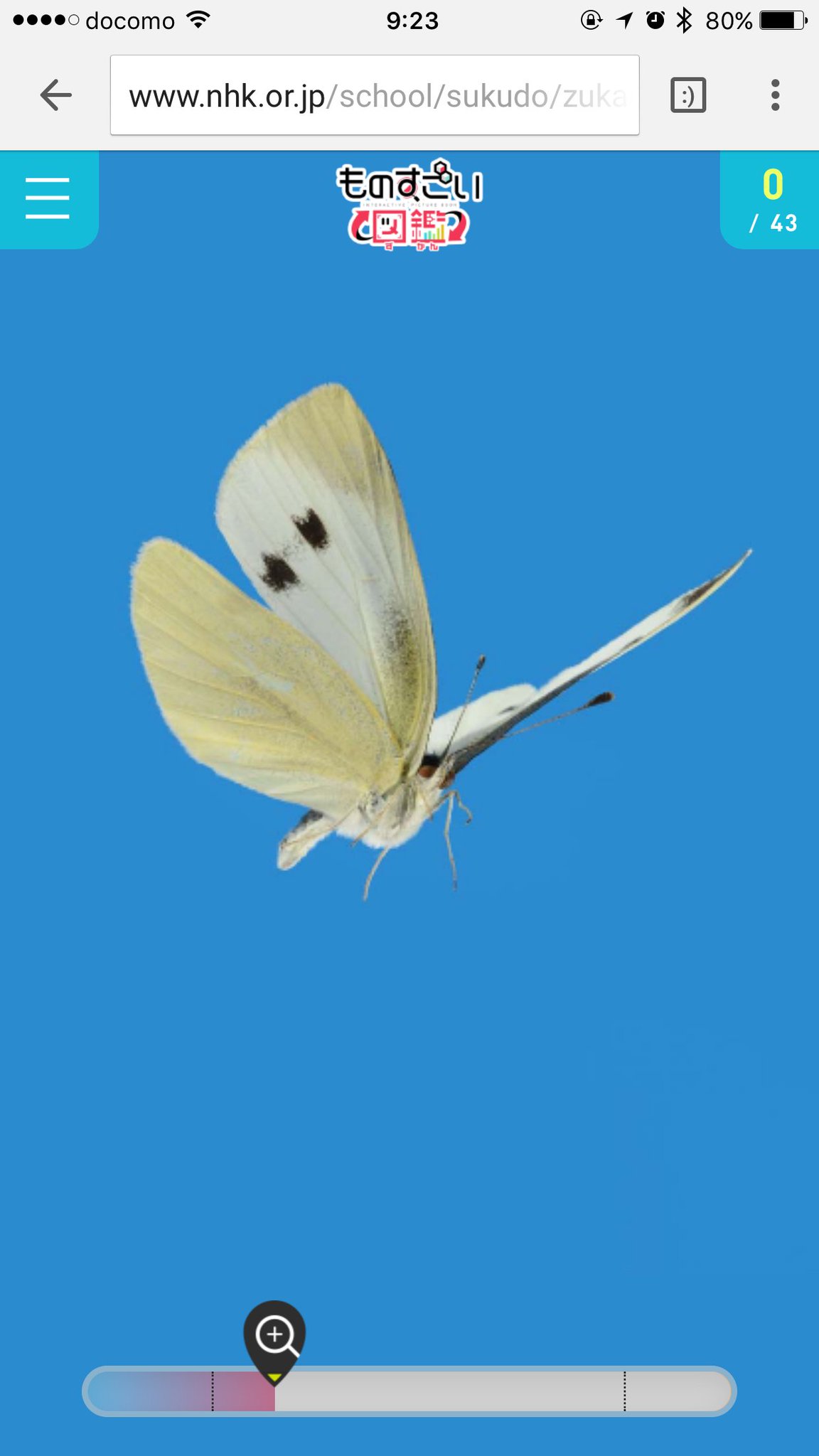 ものすごい 図鑑 モンシロチョウ ものすごい図鑑 By チームラボ