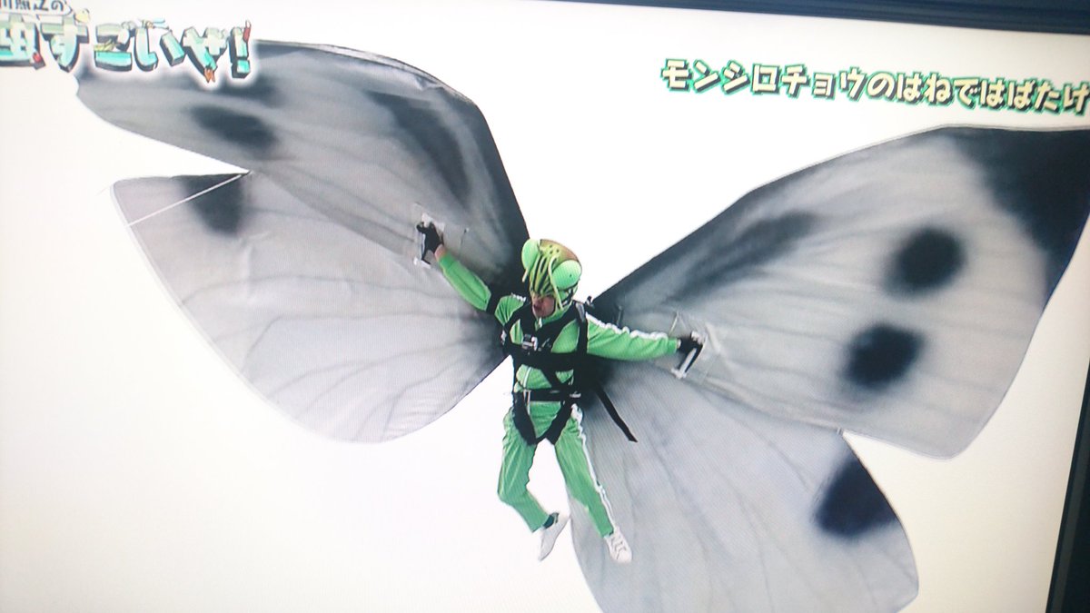 こまってぃお Pa Twitter カマキリの格好でモンシロチョウの羽を付けてクレーンにぶら下げられる香川照之とは Etv 香川照之の昆虫すごいぜ T Co Sse5ssthzz Twitter こまってぃお Pa Twitter カマキリの格好でモンシロチョウの羽を付けてクレーンにぶら下げられる香川照之とは Etv 香川照之の昆虫すごいぜ T Co Sse5ssthzz Twitter