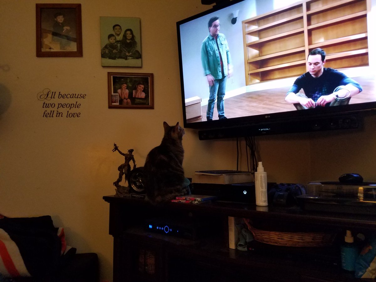 bigdan6977's tweet photo. Lily watching tv https://t.co/HI9VDN8hfD