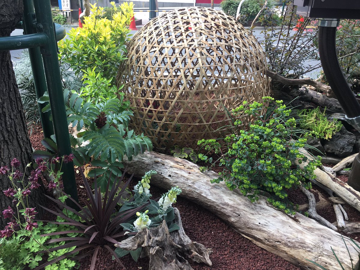 O Xrhsths Roots Sto Twitter 渋谷 公園通り フラワーフェスティバル Roots の前に素敵な ガーデン が生まれています 東京 の真ん中にこんな癒しな アート 空間が 渋谷roots に寄った際にはしっかり見てみて下さい 美容室 美容院 ガーデニング O Xrhsths Roots Sto Twitter 渋谷 公園通り フラワーフェスティバル Roots の前に素敵な ガーデン が生まれています 東京 の真ん中にこんな癒しな アート 空間が 渋谷roots に寄った際にはしっかり見てみて下さい 美容室 美容院 ガーデニング