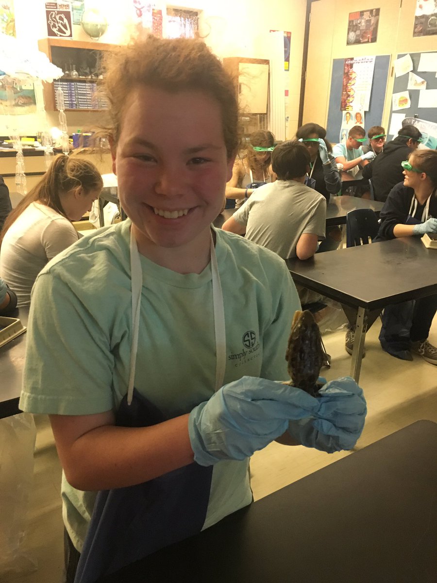 csdmeadow2020's tweet photo. Dissecting frogs in biology!! https://t.co/sjtKnfgpp5