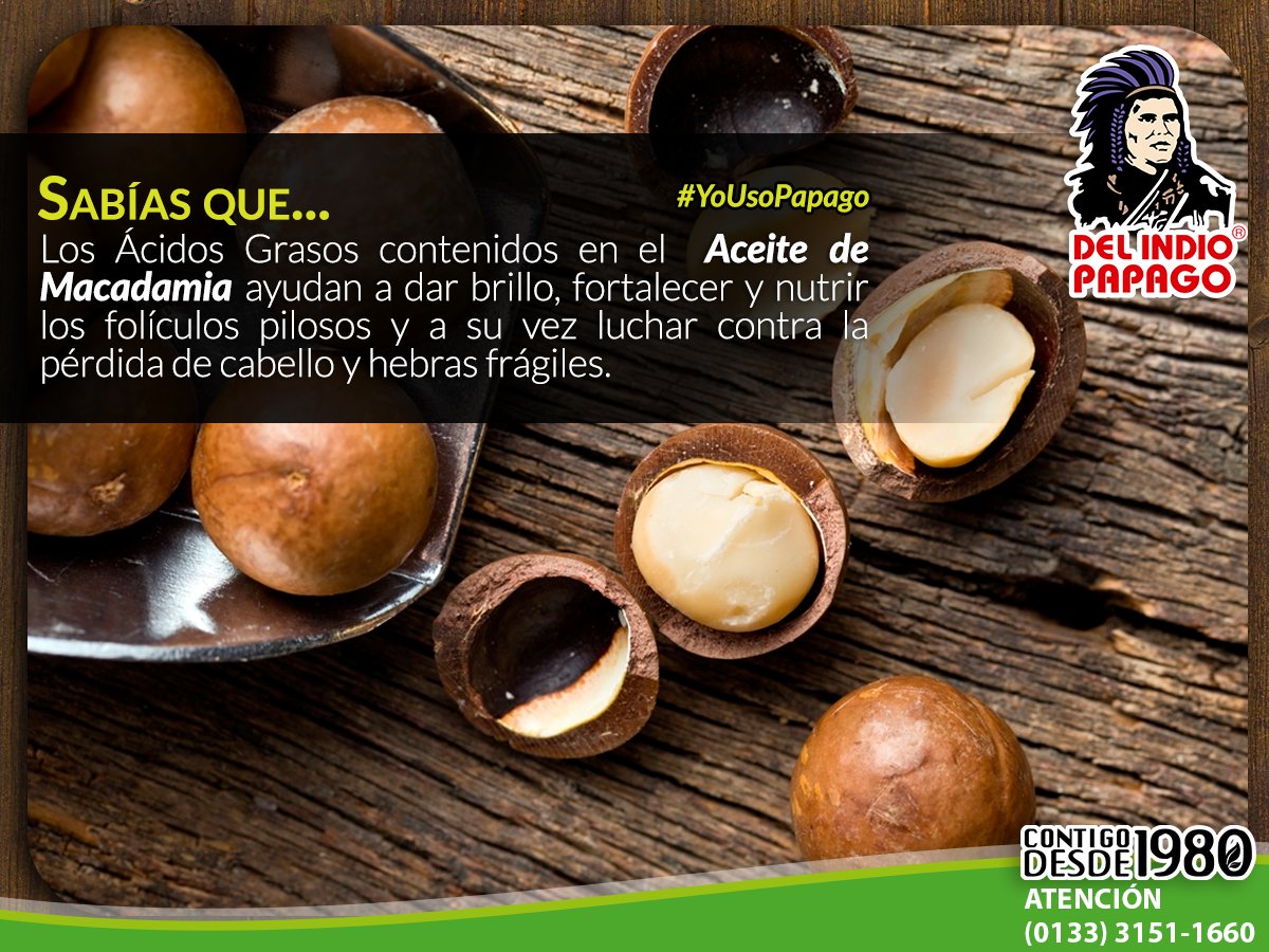 papagooficial's tweet photo. #SabíasQue 
Los Ácidos Grasos del Aceite de #Macadamia ayudan a dar brillo, fortalecer y nutrir los folículos pilosos de tu #cabello. https://t.co/Q7dmt5rMVE