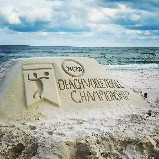 SandCastleUniversity tweet media