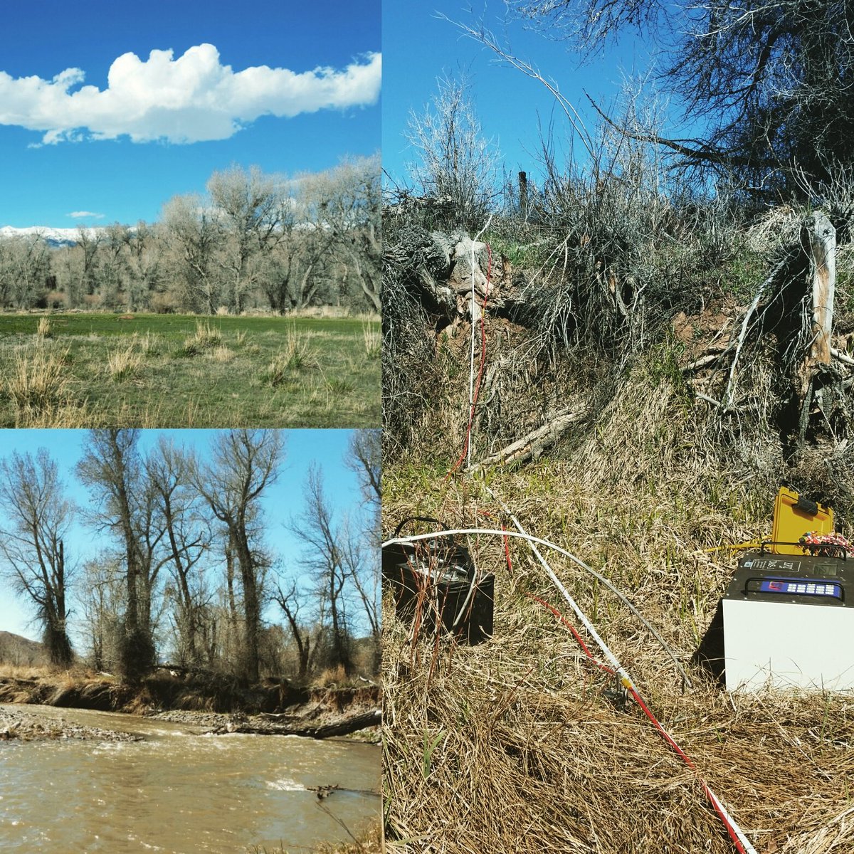 𝙽𝚒𝚎𝚕𝚜 tweet media