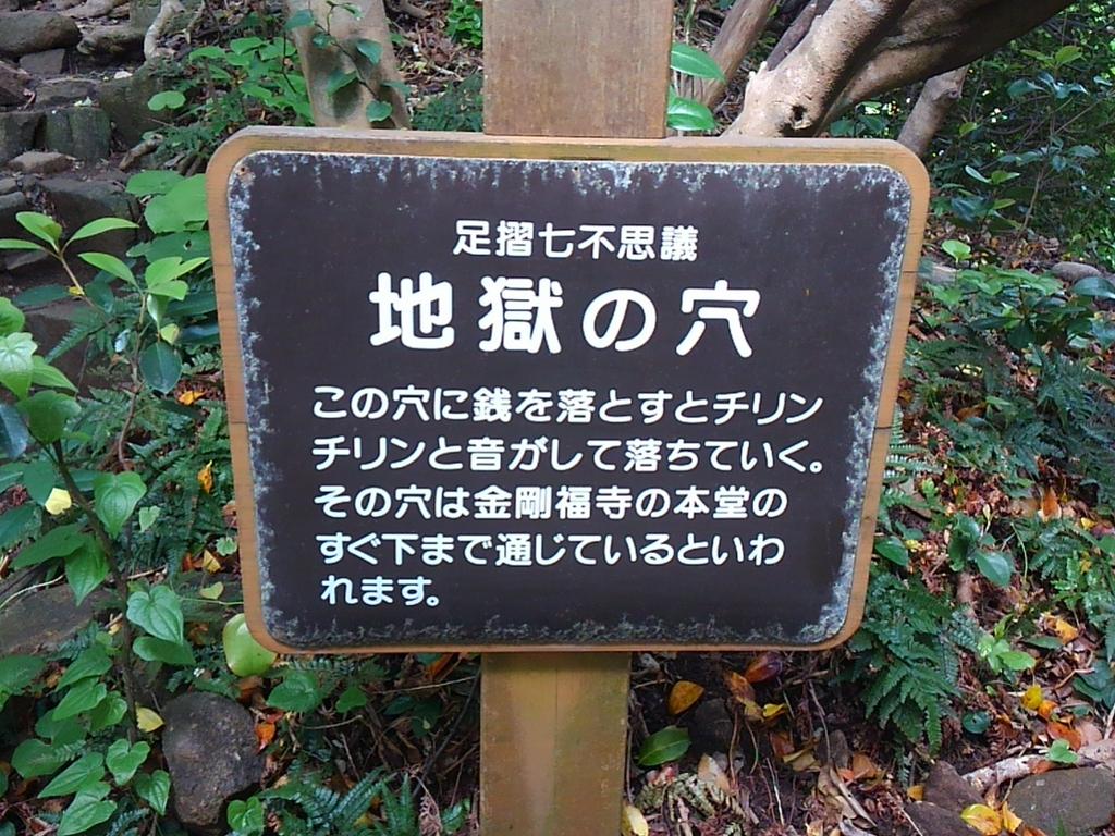 セセリ インパクト強い名前の 地獄の穴 旦那が10円投げてみたよ ちゃり ちゃ りー ん 地獄の番人 おんしらぁ 10円で満足する訳無いちや 土佐弁 足摺岬 地獄の穴 高知県 セセリ インパクト強い名前の 地獄の穴 旦那が10円投げてみたよ ちゃり ちゃ りー ん 地獄の番人 おんしらぁ 10円で満足する訳無いちや 土佐弁 足摺岬 地獄の穴 高知県