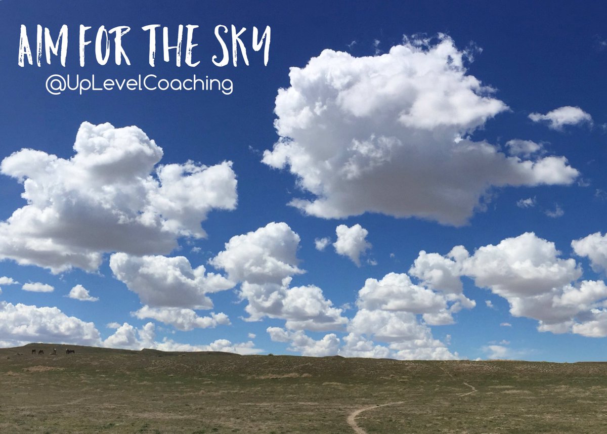 uplevelcoaching's tweet image. Aim for the sky..... and do the work #success #quotes #goals #coaching