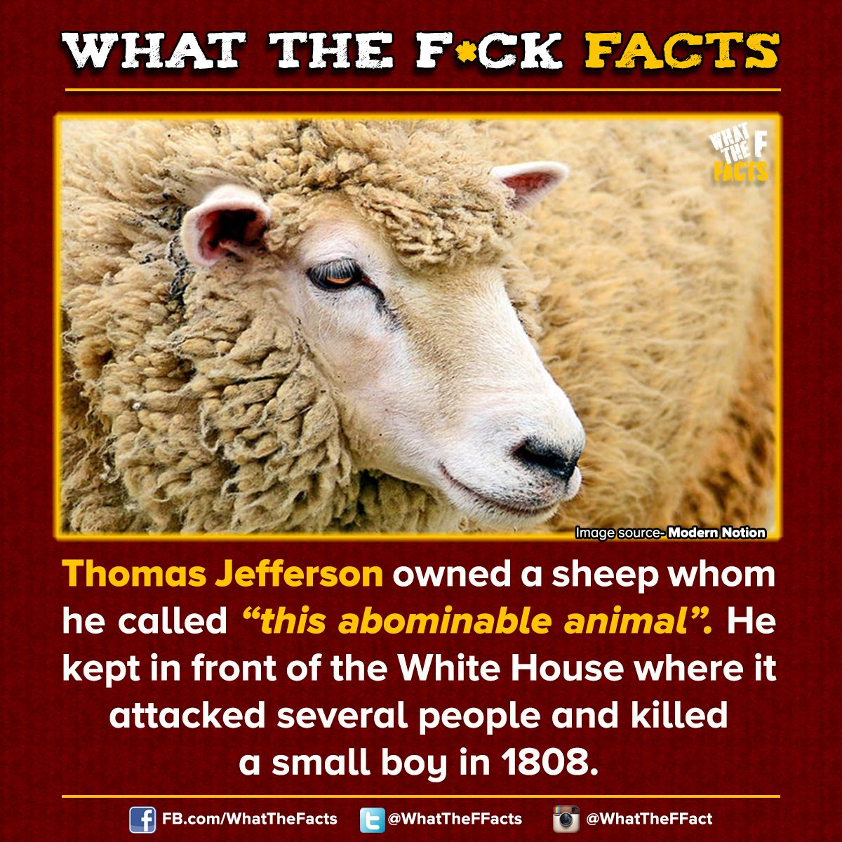 Michelle Chen tweet media