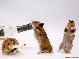 Rat baki ... Hona hai jo, ho jane do...