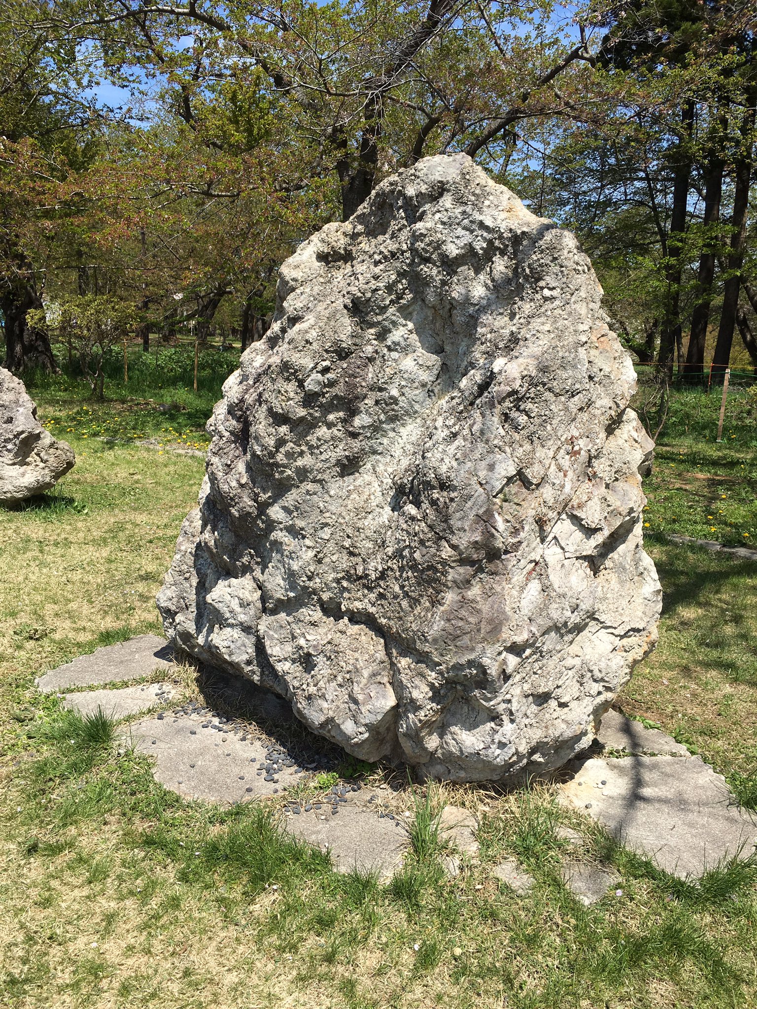 津軽為信 ジョジョの奇妙な冒険の杜王町は 宮城県仙台市がモデルらしいが 青森県五所川原市 旧 金木町 の芦野公園には 杜王町にあるアンジェロ岩のような岩があるぞ T Co Nf4ygeeatv Twitter