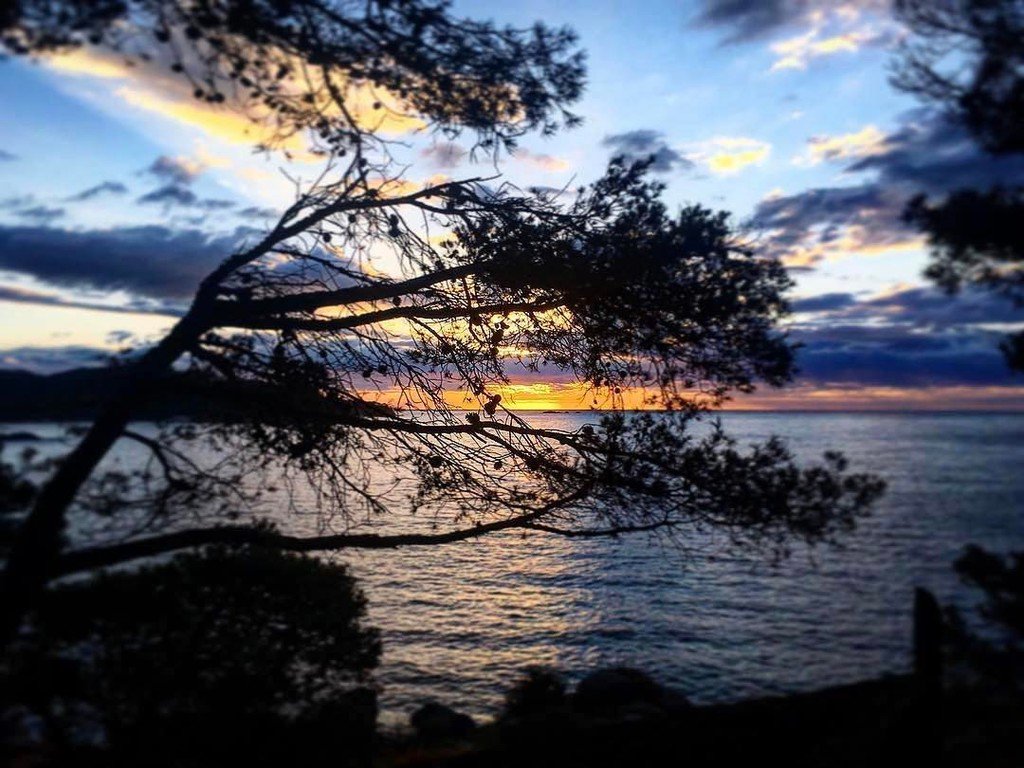 palamosonline's tweet photo. #Repost + Thanks! 😊@anna_her.xa
・・・
Que bonic seria el món 🌏sense...? A veure... • Que bonito seria el mundo 🌏 sin...? A ver... #photoofthe… https://t.co/S1ht0FVxkF