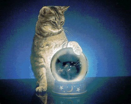 Kitty rubbing a crystal ball in a darkened room