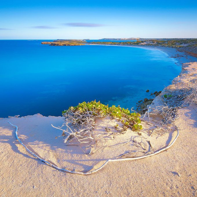 Watch South Australia's leaked NSFW photo on TwXstars