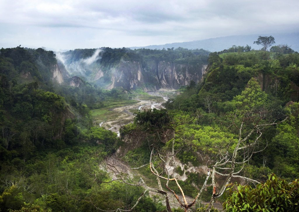 Vive tu aventura en las junglas de #Sumatra ¡Escoge la fecha y atrévete a conocer la vida salvaje! #Indonesia ow.ly/W1IE30bq3Yc