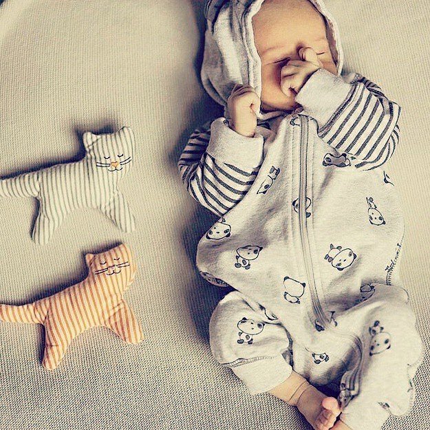 HubNanny's tweet photo. quand #bébé dort :) https://t.co/rW0sxLqpFg