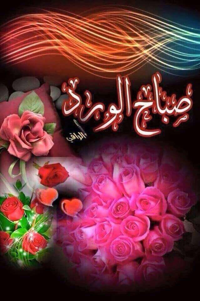 basharfaouri1's tweet image. @asomaomar