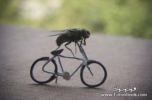 eydheh's tweet photo. #شي_حلو_ودك_عليه 
صورة حصرية لقحطاني مشارك بسباق الدراجات الهوائية https://t.co/p1fvQCF6nV