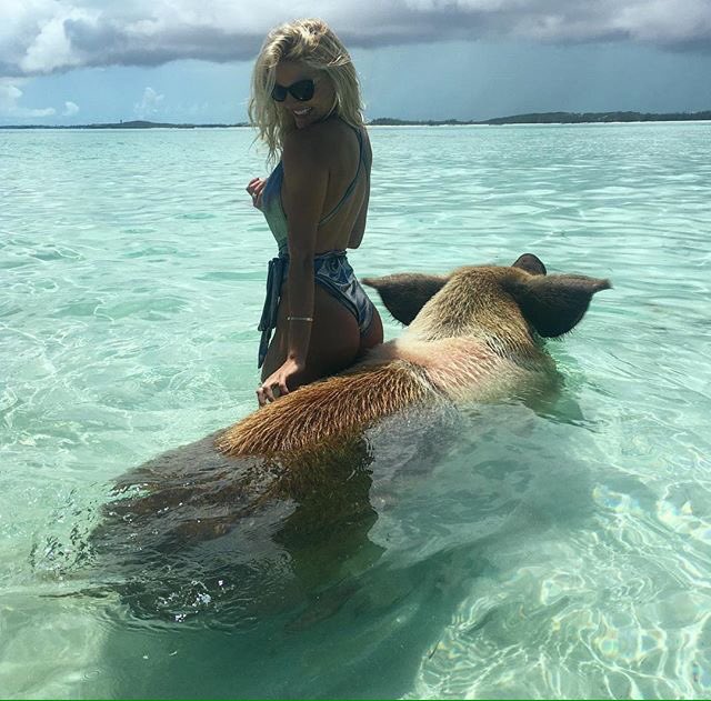 Swimming with pigs in Exuma 🇧🇸🐷🐽
#theheavyweightfactory https://t.co/V2Yx4CFMpg