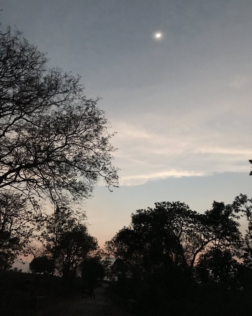 TravelOra's tweet photo. Twilight at Kabini #iphone7plus #sunset #kabini #travelora #travel #twilight #india #safari https://t.co/WguEZdXWQX