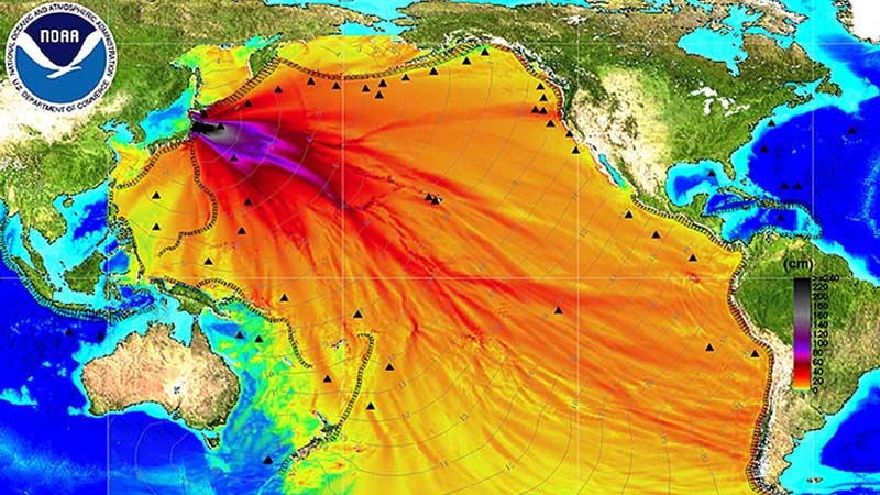 MindsJournal's tweet photo. Fukushima Radiation Has Contaminated The Entire Pacific Ocean – And It’s Going To Get Worse - https://t.co/kG7WFKuxsT https://t.co/Zz7QSymJaq