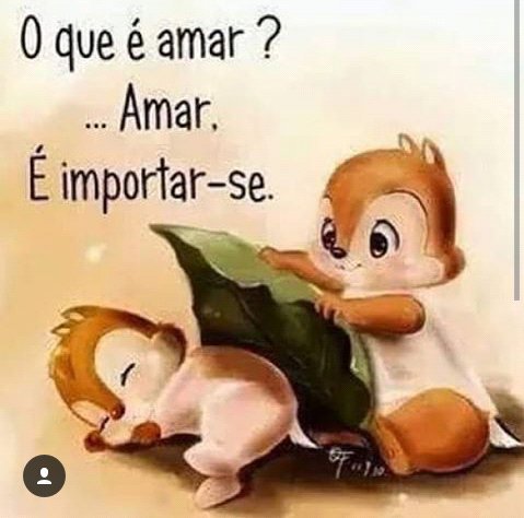 novas_frases tweet media