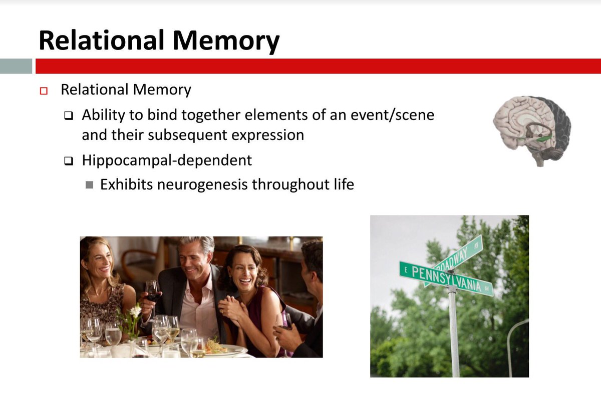 learnPSNSW's tweet photo. How you remember elements of scenes or an event, known as relational memory, is enhanced through physical fitness. #DoESSU https://t.co/GotbNj5YXk