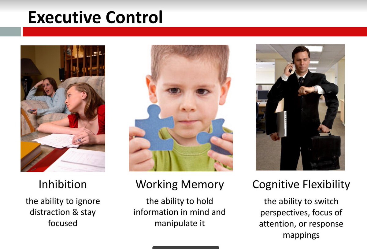 learnPSNSW's tweet photo. Goal-directed behaviour (ex. Performing a math problem) is enhanced by physical activity. #DoESSU https://t.co/YJLySSMdV7