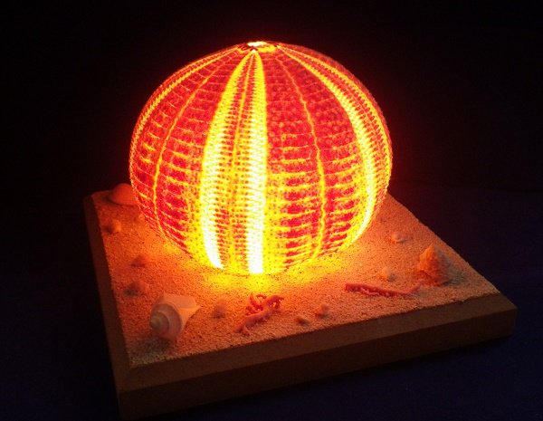 ゆう ウニのランプ Up ウニ殻 ウニの殻 ウニランプ ウニのランプ T Co I9fjauc4qy