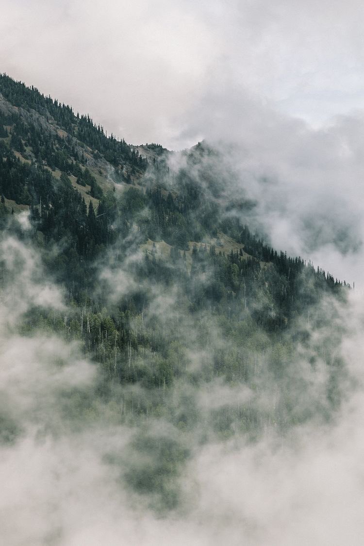 American Nomad tweet media