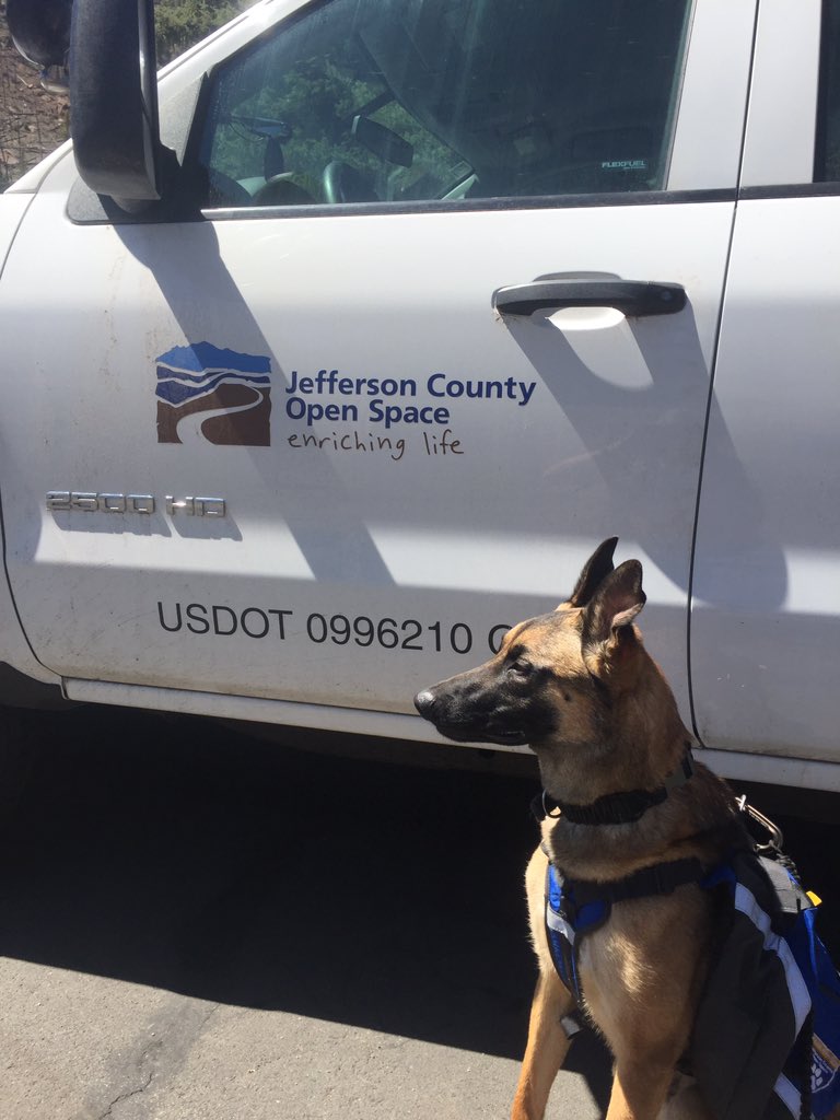 JCOSRanger08's tweet photo. Bark Ranger Scout: consider your dogs health on trail as the weather #lovethemleashthemorleavethemathome #dogsofjcos @JeffcoOpenSpace https://t.co/puPquDbNgI