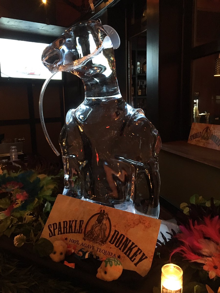 Agaveholic's tweet photo. The donkey lives! Though he did look better before the rain #CuatroDeBurro @SparkleDonkeyTq https://t.co/uc2nGtz9Ib