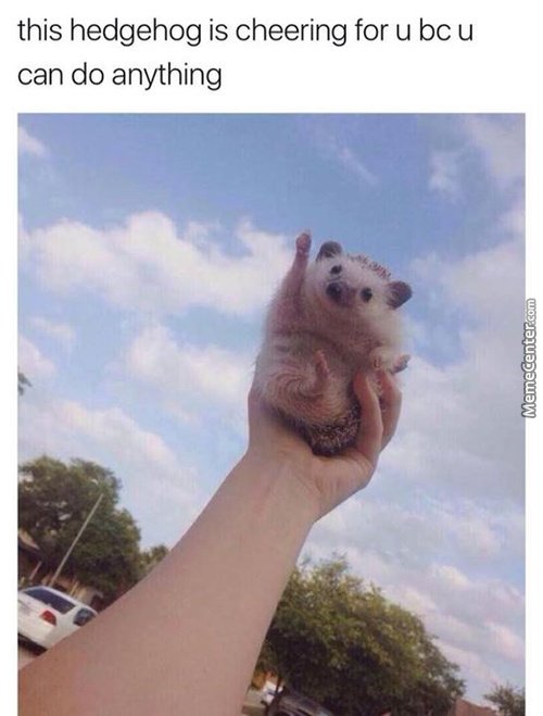 MemeCenter's tweet photo. Need some motivation for today? https://t.co/e2Q9Mx8rSX