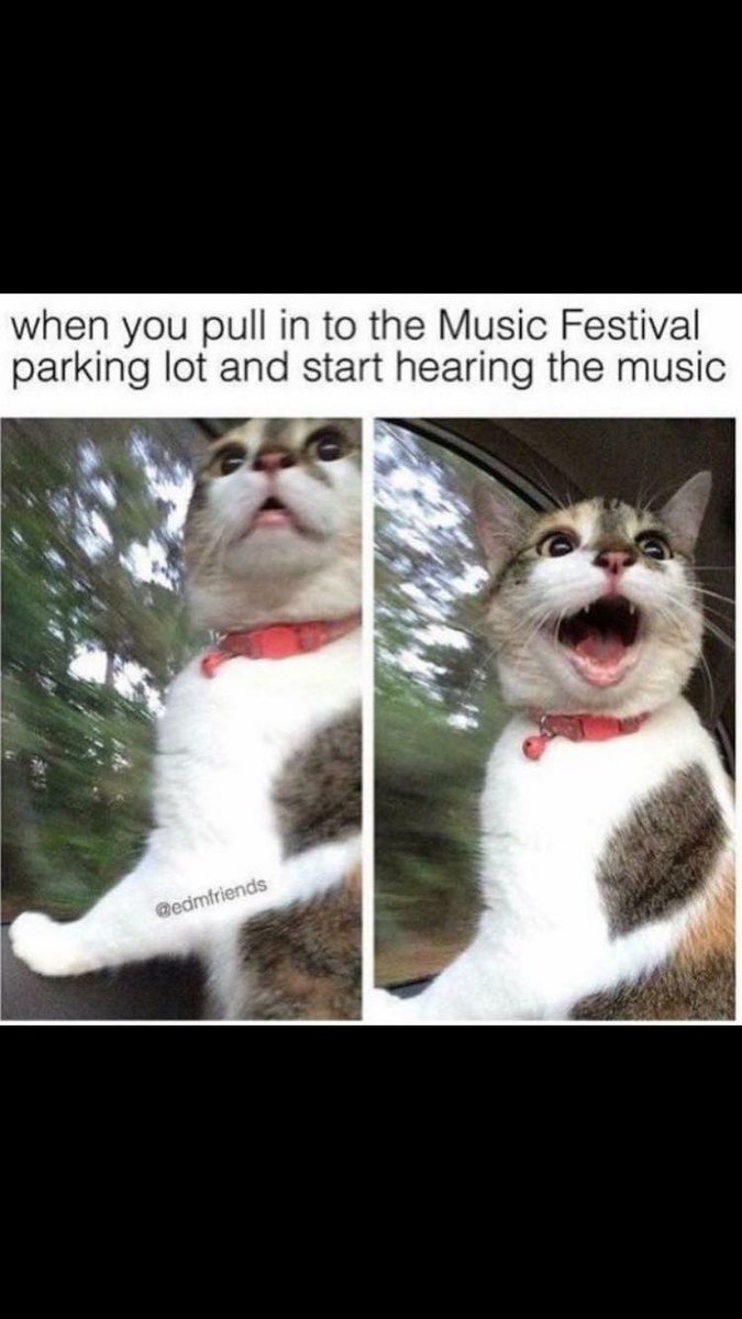 alluraashton's tweet photo. This picture is honestly so relatable πππ #countdowntoedc https://t.co/5hnUQW9O4S
