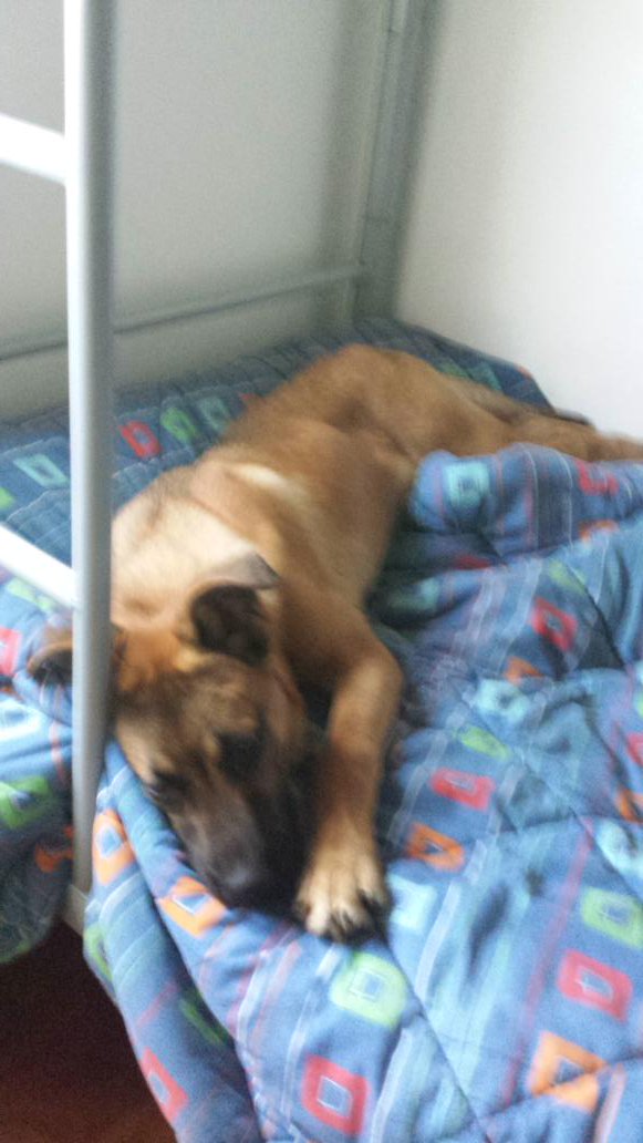 TheDriverAlex's tweet image. 