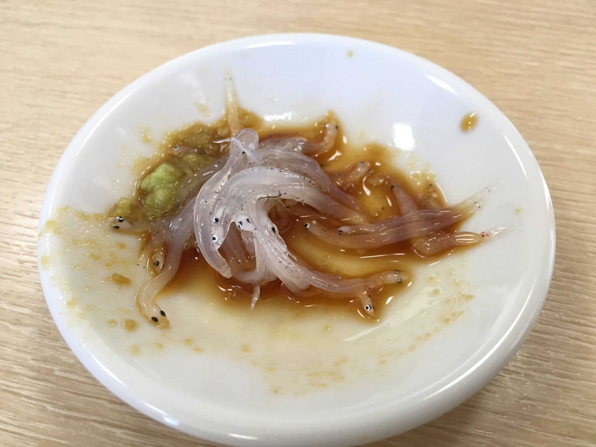 青猫 生しらす 白魚 T Co Rgyvogrofm Twitter