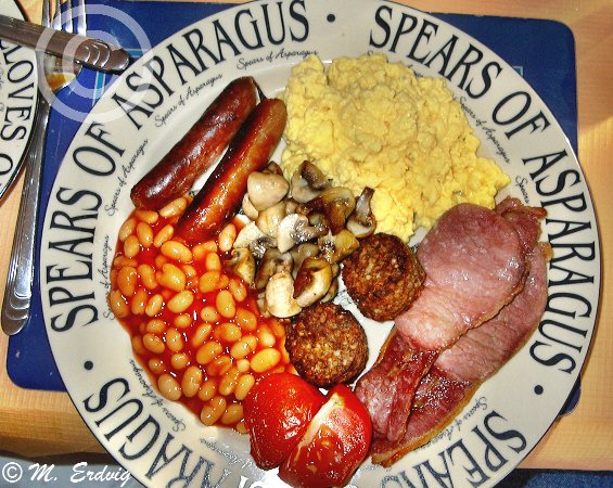 Michele Erdvig tweet media